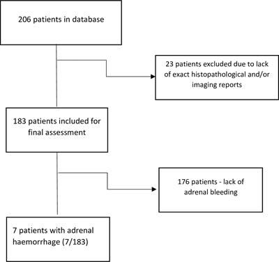 Adrenal bleeding due to pheochromocytoma - A call for algorithm
